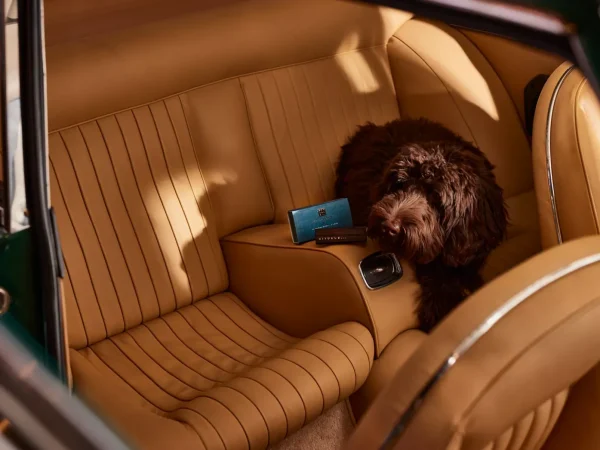 Luftfriskere Til Bil | Til Ham^Rituals Car Air Freshener