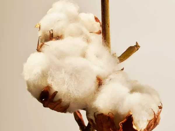 Eksklusive Duftpinner^Rituals Cotton Blossom Fragrance Sticks