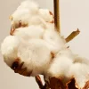 Refiller | Refiller^Rituals Cotton Blossom Refill Fragrance Sticks