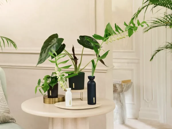 Klassiske Duftpinner^Rituals Fragrance Sticks