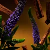 Eksklusive Duftpinner^Rituals Fragrance Sticks