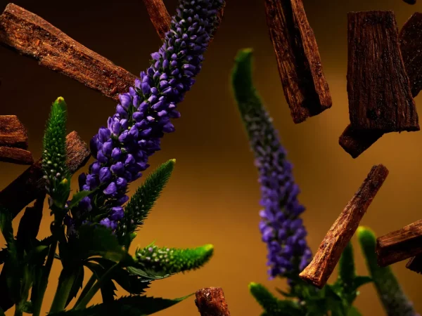 Eksklusive Duftpinner^Rituals Fragrance Sticks