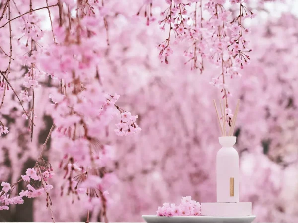 Mini Duftpinner^Rituals Mini Fragrance Sticks