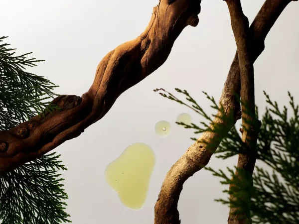 Til Ham | Sjampo Og Balsam^Rituals Shampoo