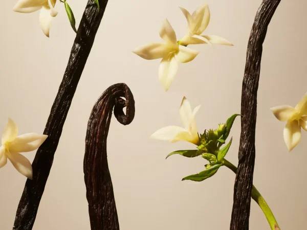 Mini Duftpinner^Rituals Suede Vanilla Mini Fragrance Sticks
