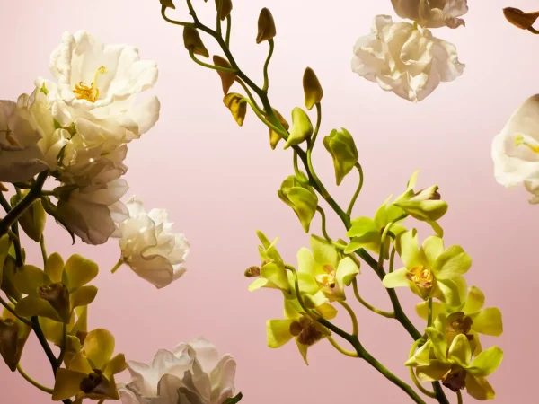 Miniparfyme | Dameparfyme^Rituals Travel - Fleurs de l’Himalaya