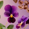 Miniparfyme | Herreparfyme^Rituals Travel - Voyage d'Ombre