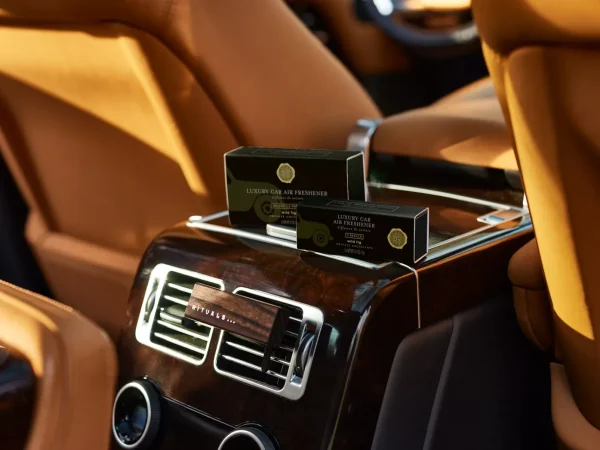 Luftfriskere Til Bil | Refiller^Rituals Wild Fig Car Air Freshener Refill