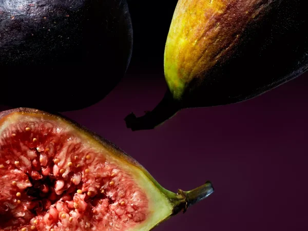 Bilparfymer | Refiller^Rituals Wild Fig Car Perfume